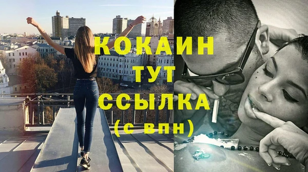 молекула духа Щигры