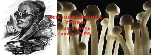 прущий лед Козловка
