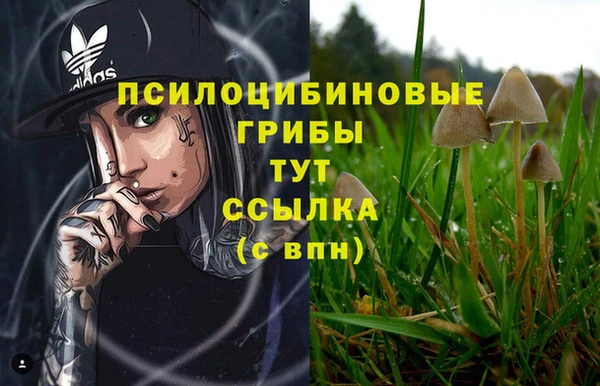 соль ск Белокуриха