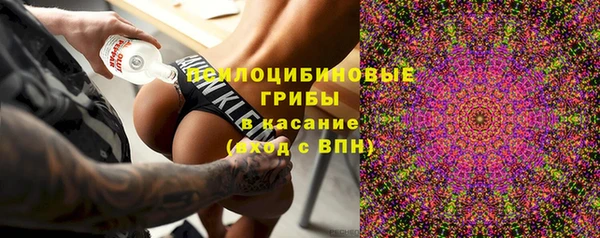 соль ск Белокуриха