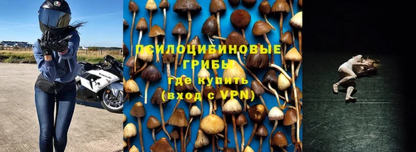 соль ск Белокуриха