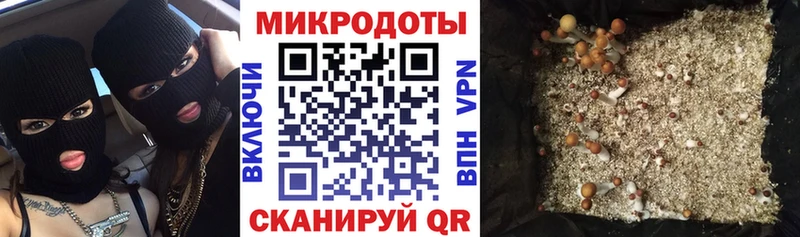 Галлюциногенные грибы MAGIC MUSHROOMS  где можно купить   Заречный 