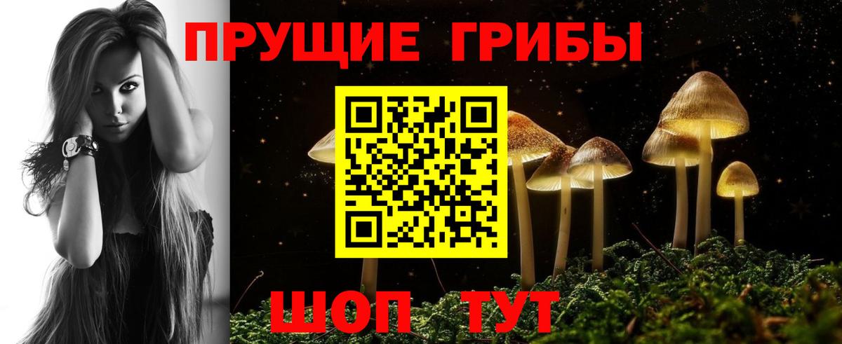 Галлюциногенные грибы Psilocybine cubensis  Псилоцибиновые грибы Magic Shrooms  Заречный  Вход с VPN 